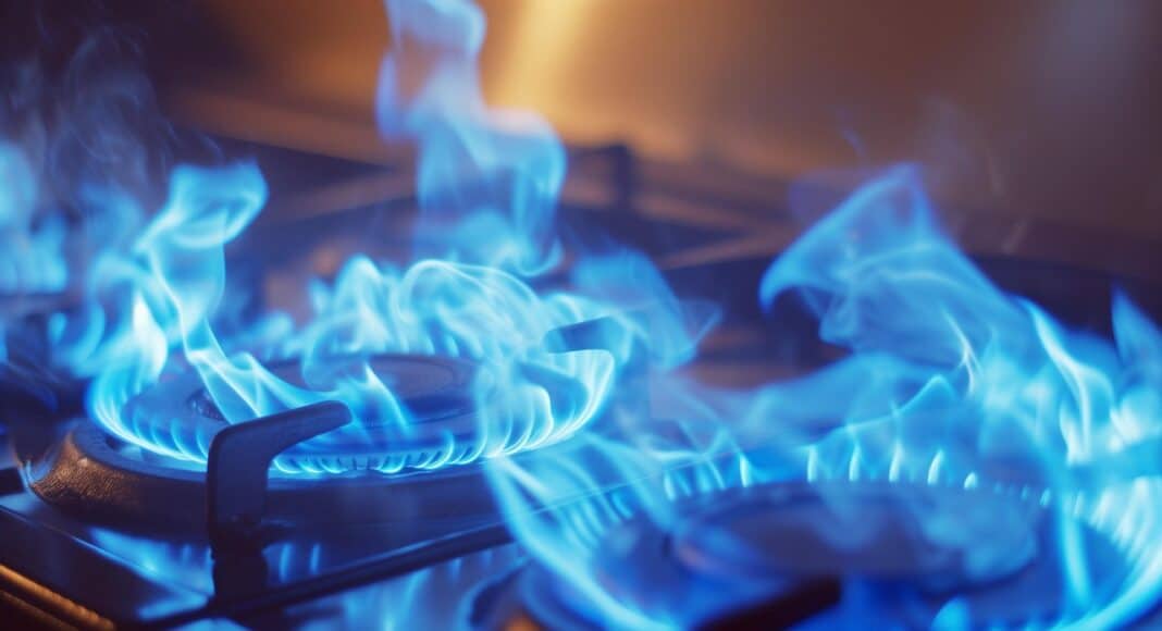 Offerte gas per la casa oltre al prezzo, si deve valutare anche la qualità del servizio