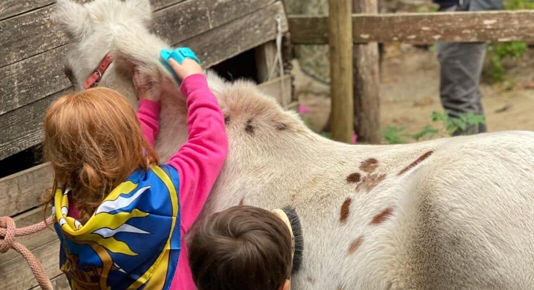 Trofeo del Saracino Memorial Carlo Fardelli, vince Porta Crucifera