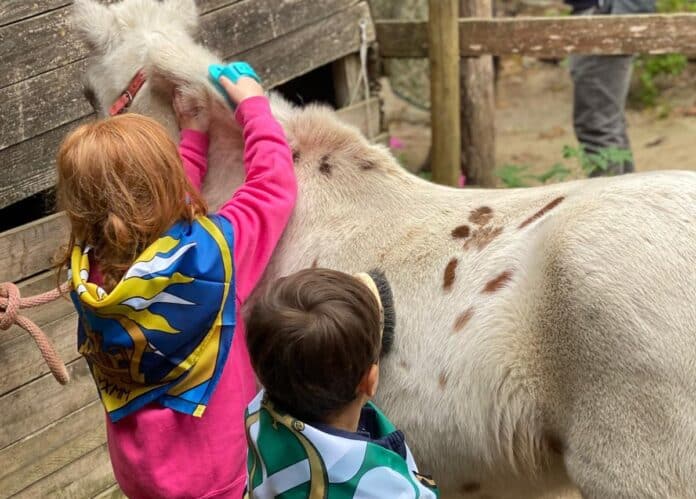 Trofeo del Saracino Memorial Carlo Fardelli, vince Porta Crucifera