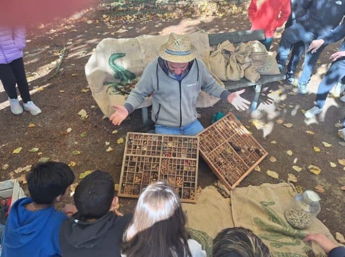 bosco didattico alla scuola elementare Leonardo Bruni bosco didattico alla scuola elementare Leonardo Bruni