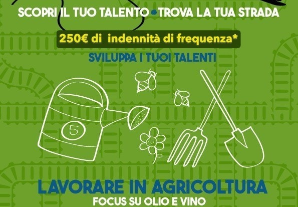 Cortona, contributi per chi segue corsi di formazione in agricoltura