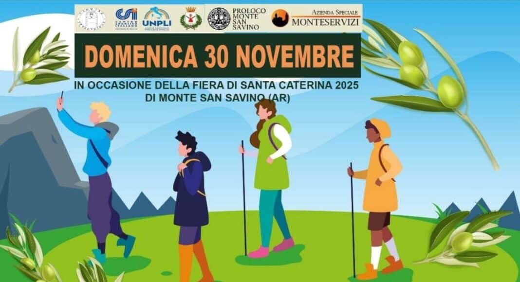 Domenica 30 novembre a Monte San Savino la camminata dell'olio