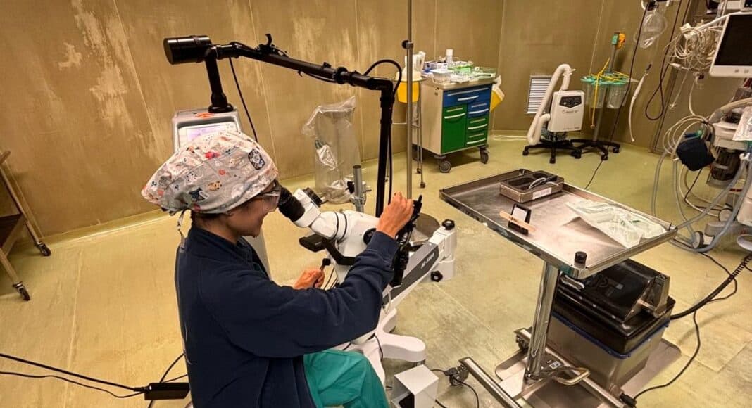 Ospedale Valdarno: trattamento laser per patologie tratto genitale