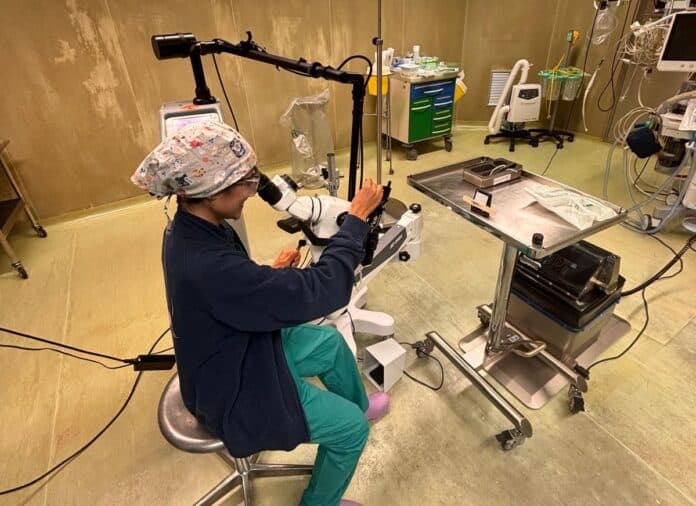 Ospedale Valdarno: trattamento laser per patologie tratto genitale