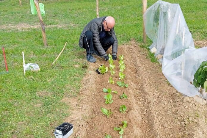 Orto Comunitario Biologico di Arezzo a San Leo