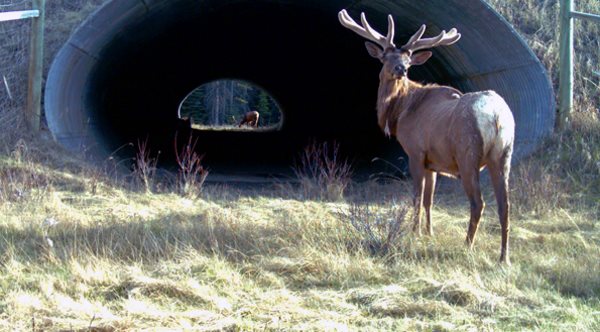 Per i Giovedì del Cai, la conferenza sui 