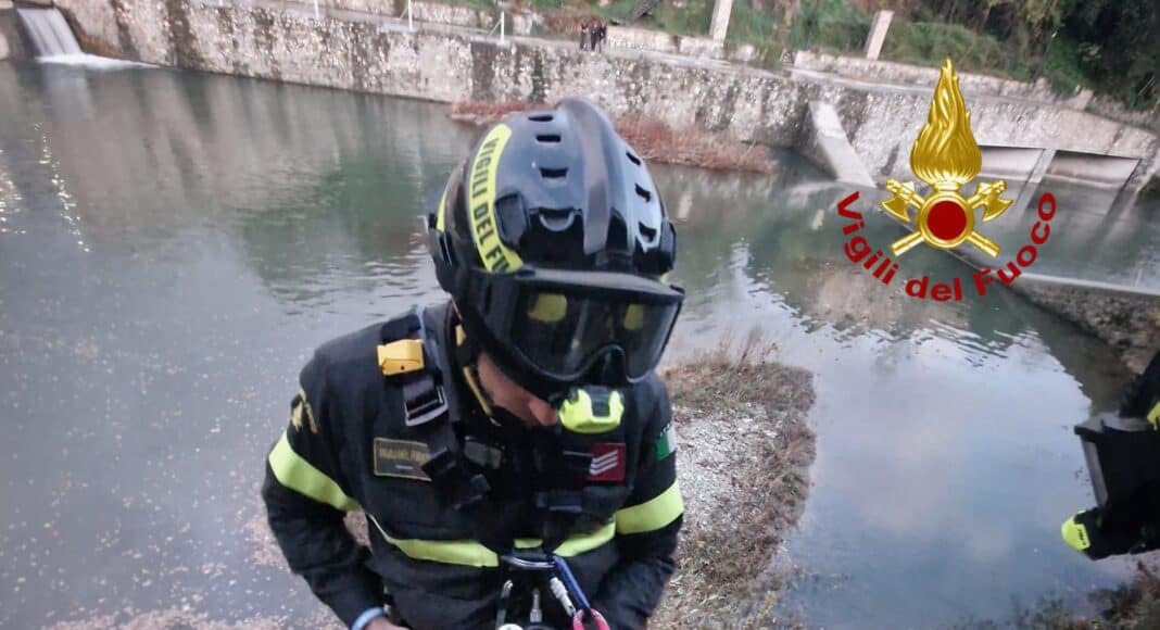 vff_salvataggio_istrici_1