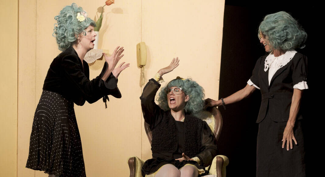 La Compagnia Teatrale Micromega di Verona in scena a Tegoleto