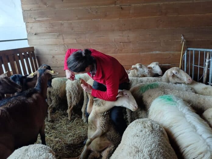 La Scuola per pastori e allevatori con il progetto LIFE in Casentino