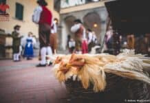 Lucignano accende la magia del Natale con l’Antica Fiera del Ceppo Lucignano Natale con l’Antica Fiera del Ceppo