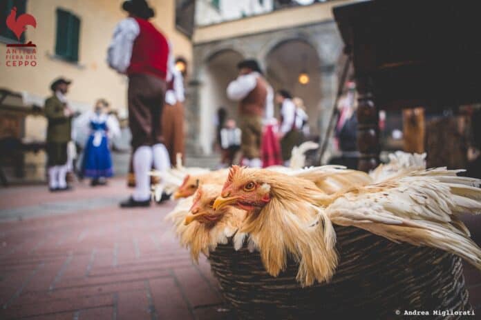 Lucignano Natale con l’Antica Fiera del Ceppo