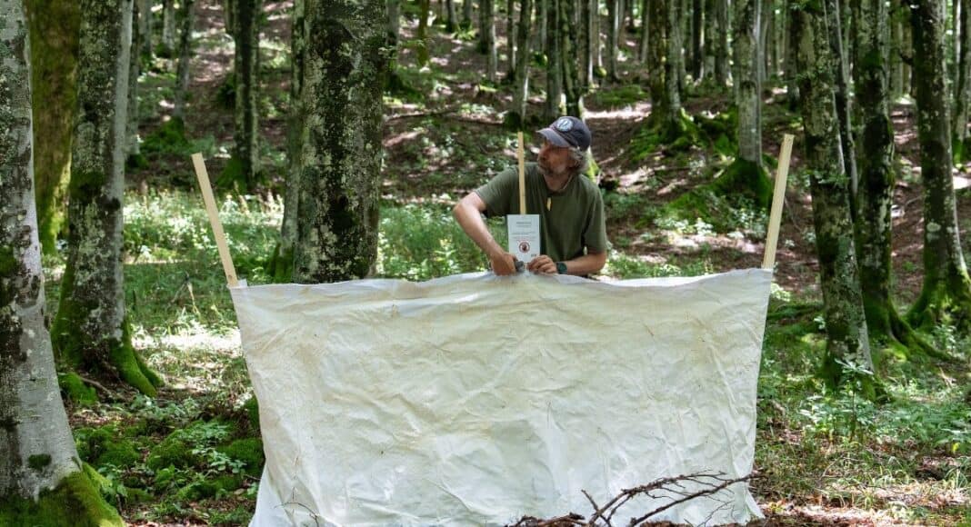 A Poppi la mostra “Paesaggi Assoluti” di Roberto Ghezzi