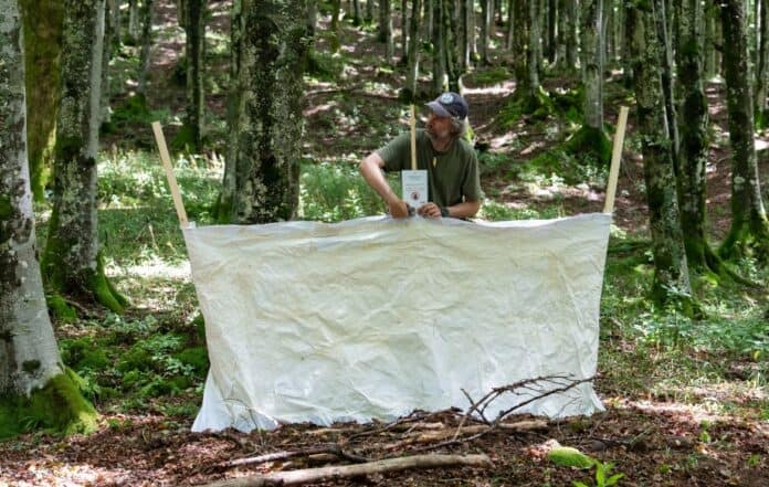 A Poppi la mostra “Paesaggi Assoluti” di Roberto Ghezzi