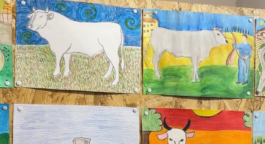 Cortona, torna il concorso dedicato al Vitellone Chianino