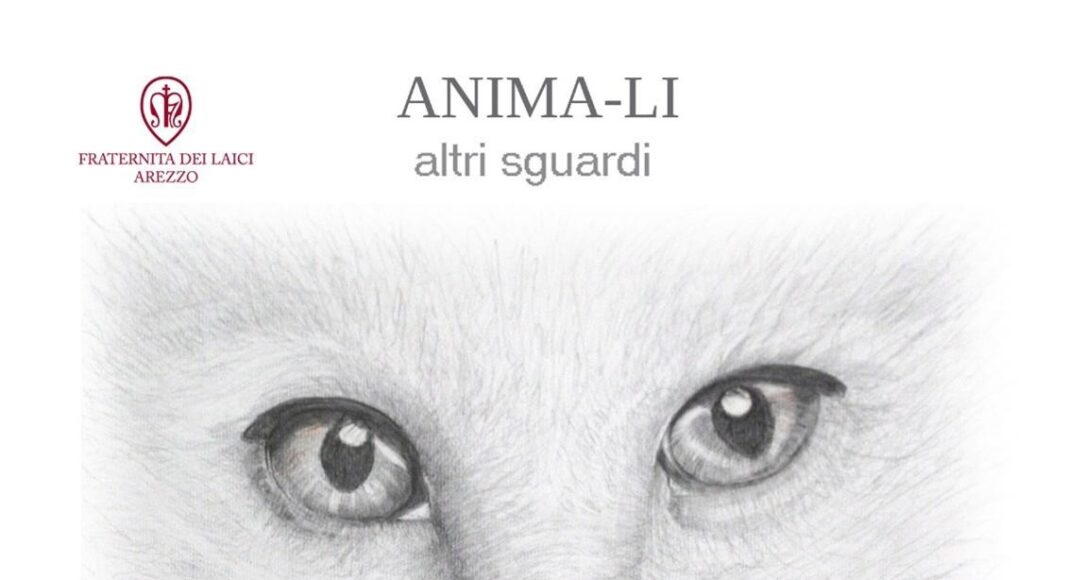 Fraternita dei Laici: la mostra di Alessandra Pagliai