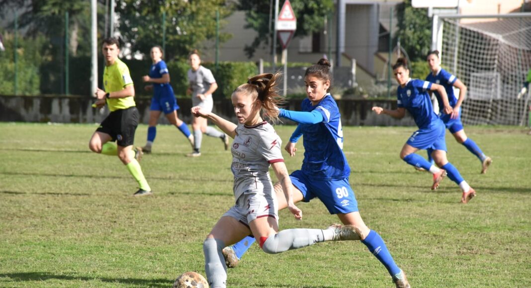 ACF AREZZO – FREEDOM 