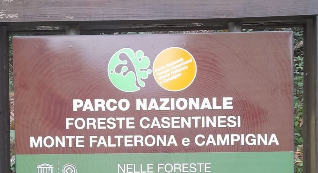 Londa, il Comune del Casentino dice NO all’impianto industriale eolico