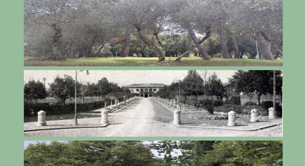 Incontro pubblico sulla valorizzazione del Parco del Pionta
