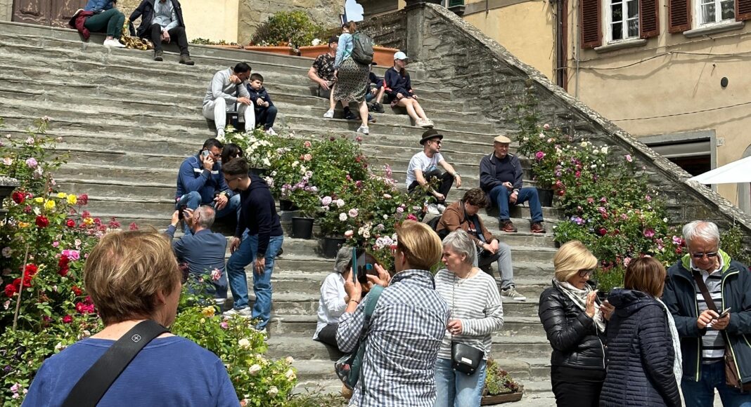 È in partenza il concorso Cortona in Fiore: aperte le iscrizioni