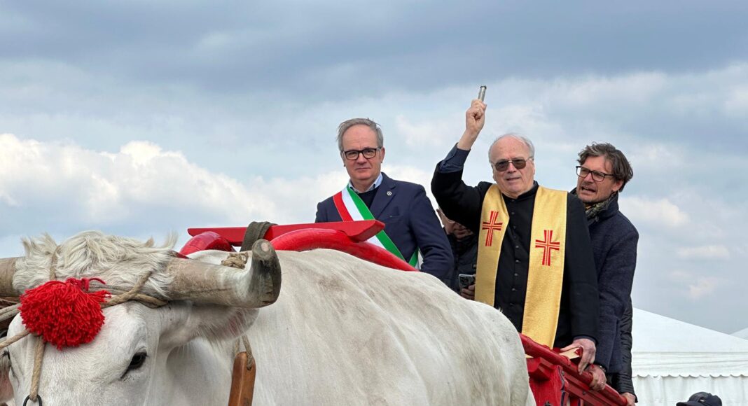 Domenica alla Fratticciola di Cortona si celebra la Chianina