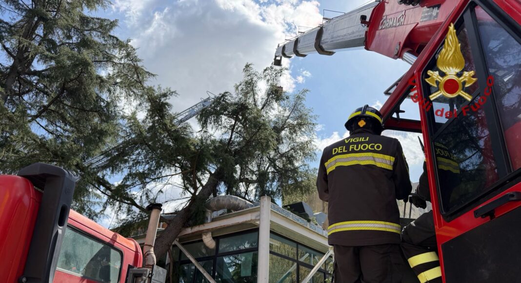 vigili del fuoco intervenuti al parco giotto arezzo per albero caduto