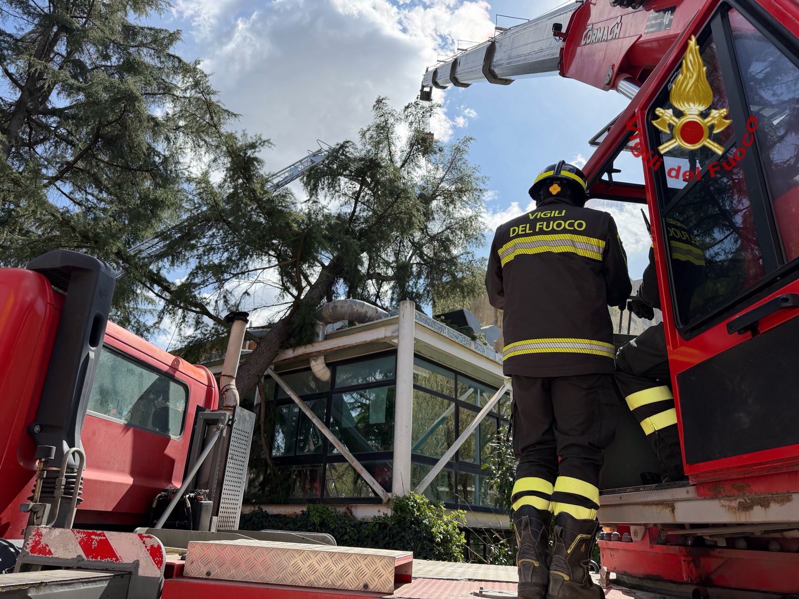 vigili del fuoco intervenuti al parco giotto arezzo per albero caduto