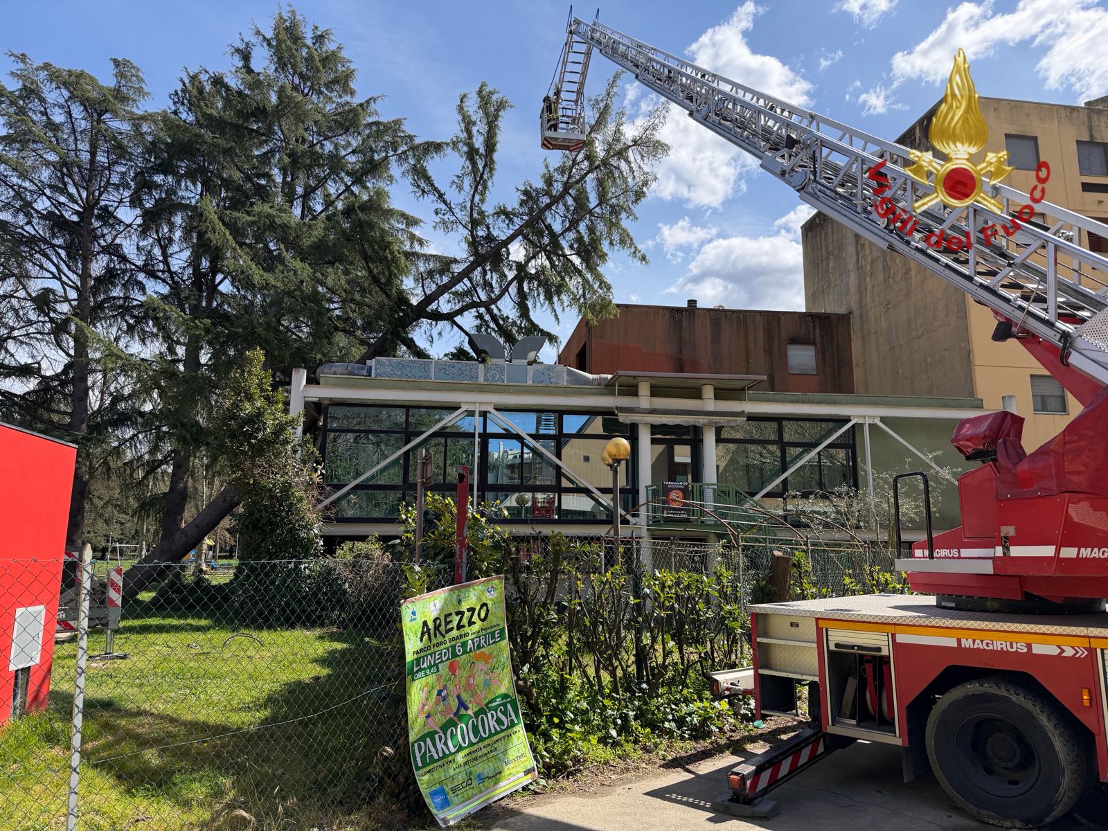 vigili del fuoco intervenuti al parco giotto arezzo per albero caduto