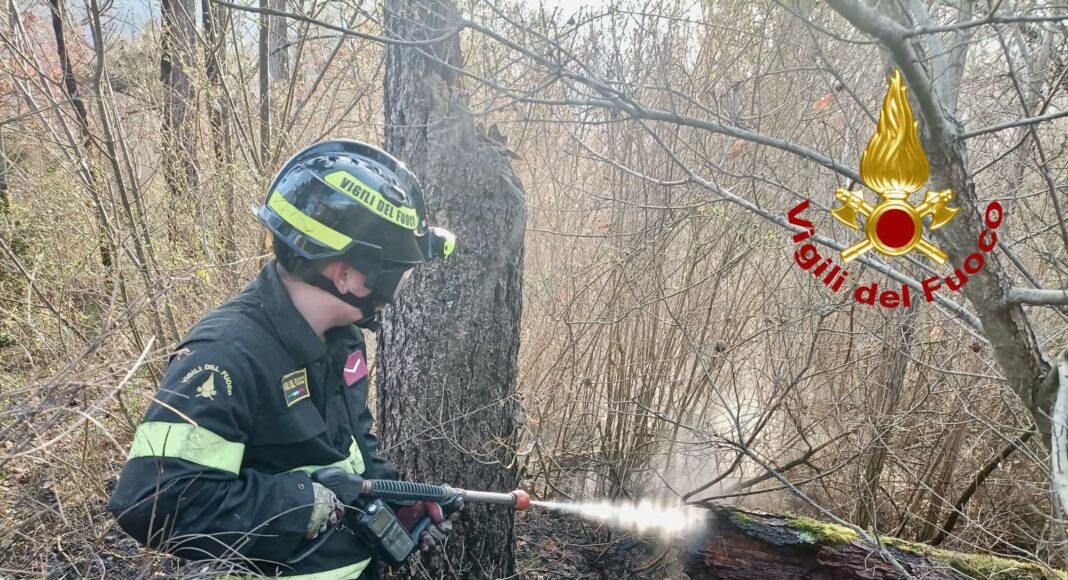 intervento dei vvf di Arezzo per un incendio di un bosco a Salutio