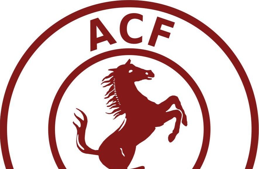 Primavera ACF Arezzo battuta 2-0 dal Sassuolo al “Bruno Nespoli”