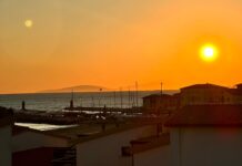 Abbiate coraggio di agire con il cuore, per rimanere vivi