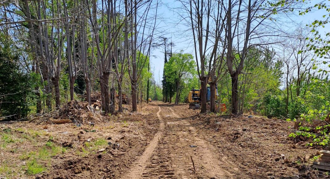Al via i lavori della Ciclopista dell’Arno a Terranuova Bracciolini