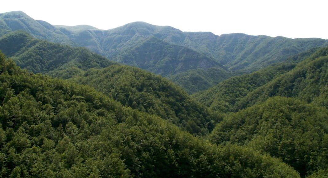 Parco Foreste Casentinesi