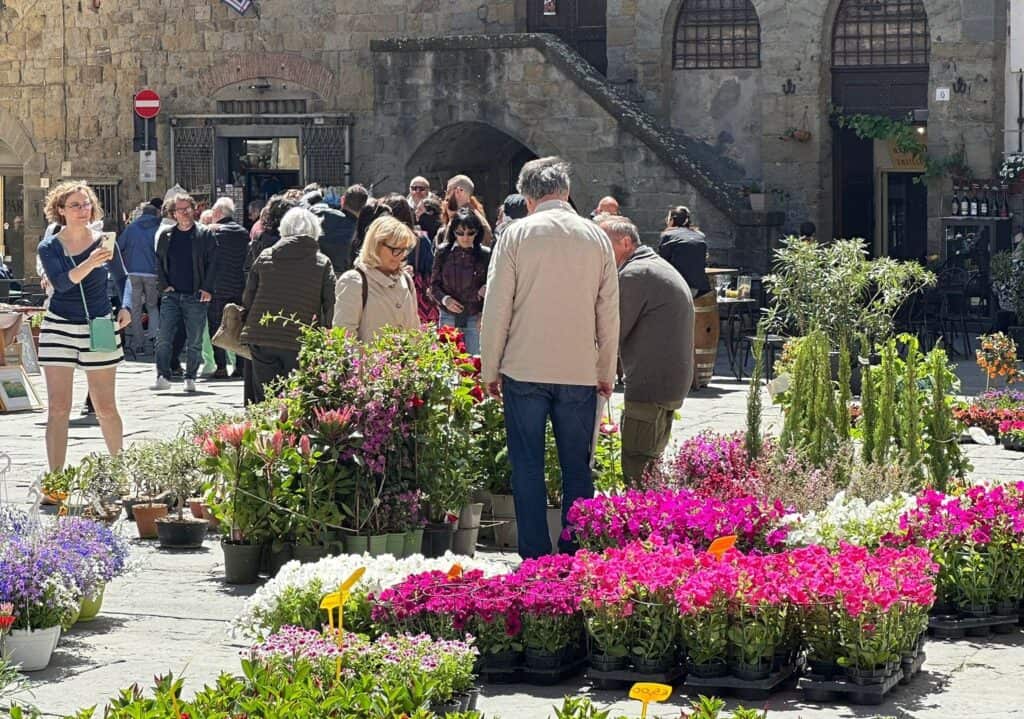 Cortona, boom di turisti per il «Fiore». I vincitori del concorso