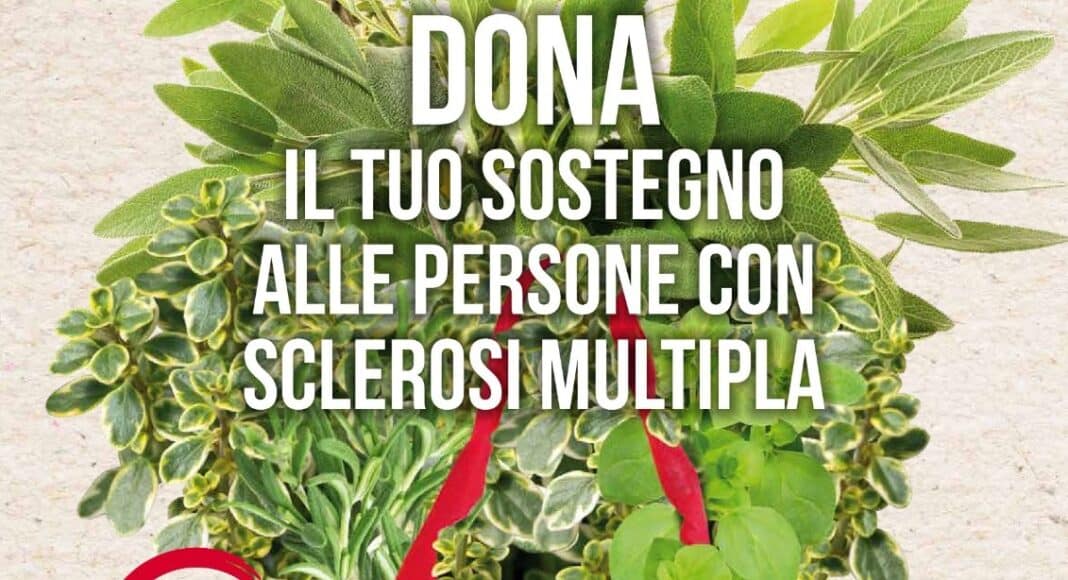 Le Erbe Aromatiche di AISM il 23 e 24 maggio a Terranuova Bracciolini