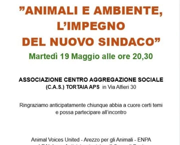 locandina incontro animali e ambiente per candidati sindaco