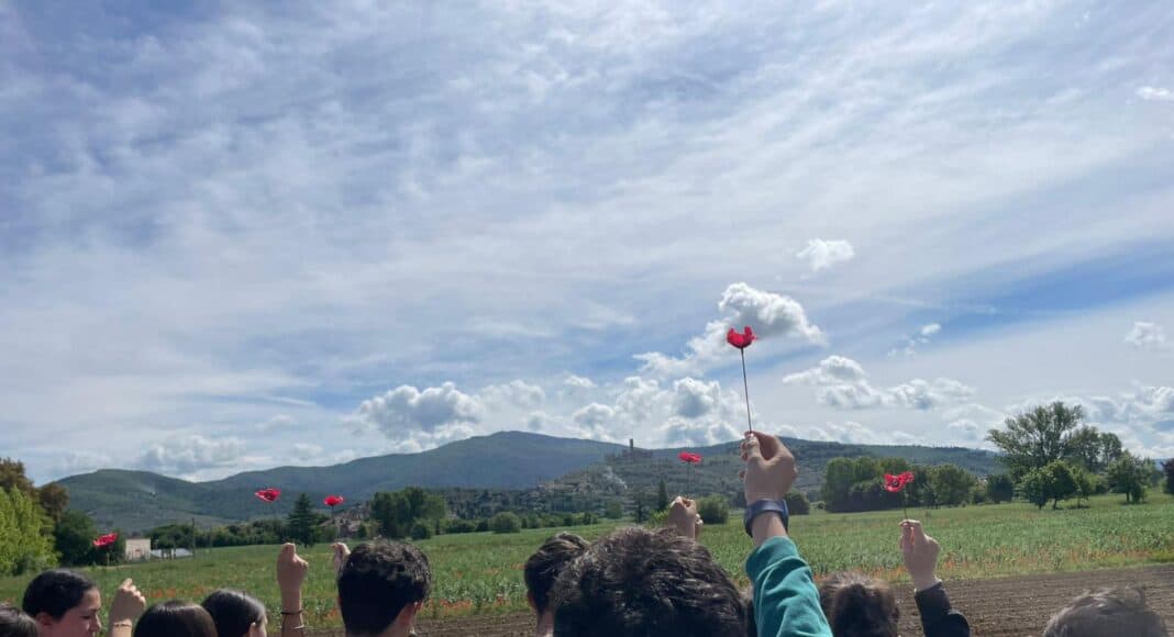 sentiero dei papaveri