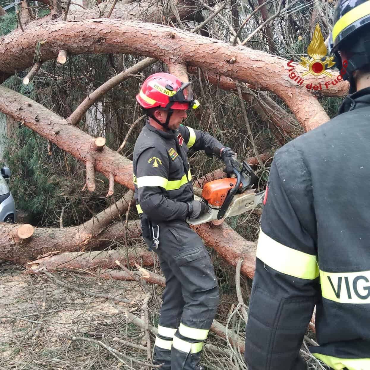 vvf-montevarchi-crollo-albero