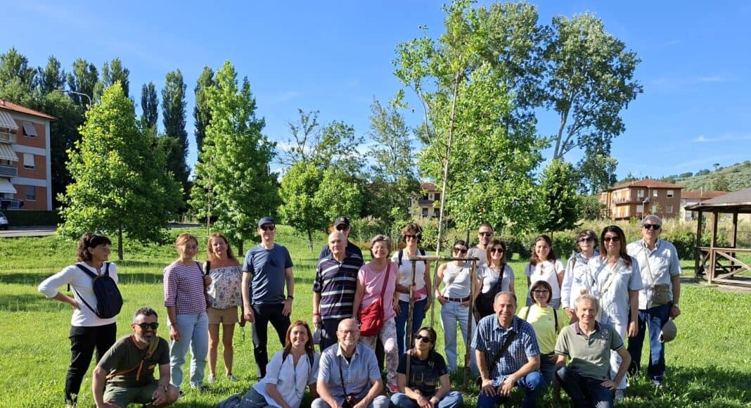 Arezzo: dalla sicurezza idraulica nascono 168 nuovi alberi
