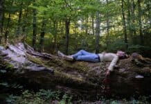 Il Parco delle Foreste Casentinesi racconta la natura in musica