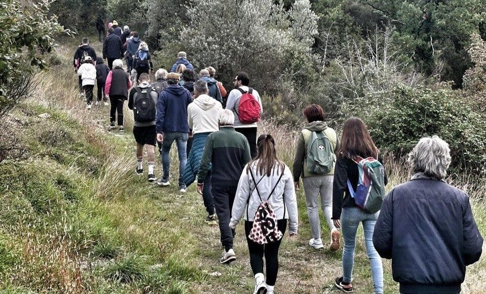 Torna la Camminata tra gli Olivi a Castiglion Fiorentino