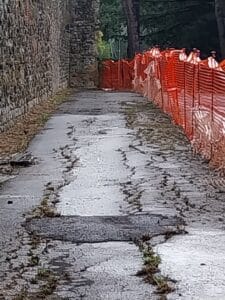 Demos Arezzo: eliminate le erbacce infestanti Via Padre Caprara